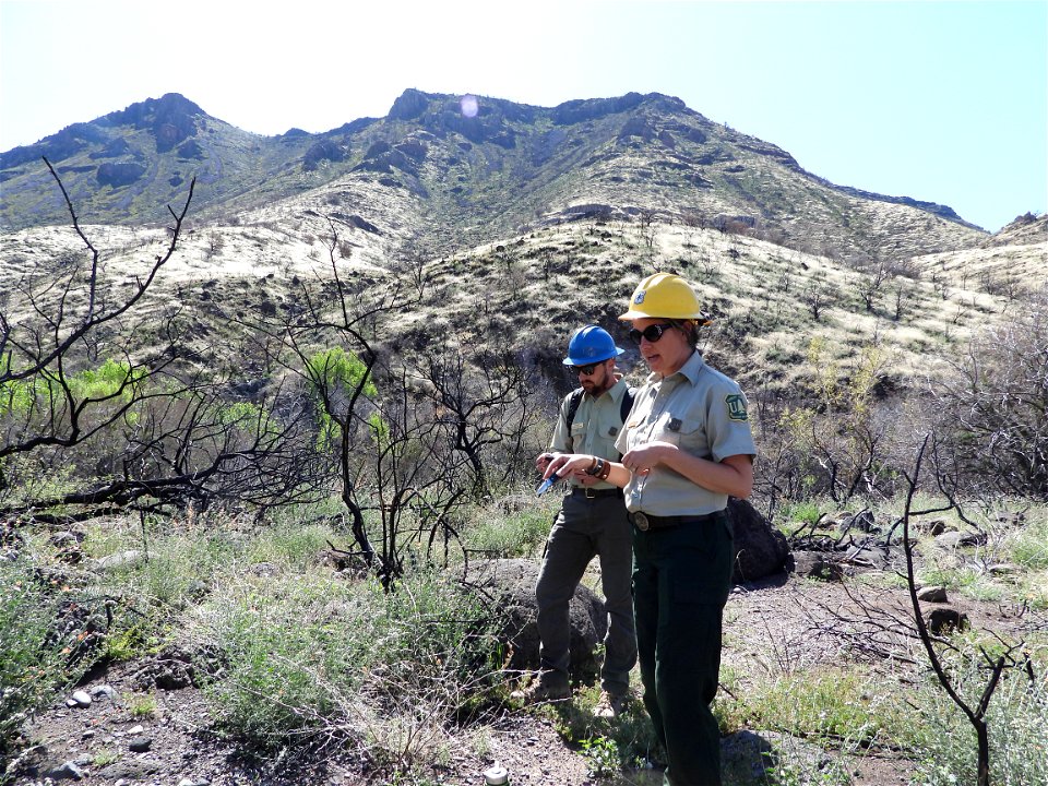 Fossil Creek Soil Monitoring photo