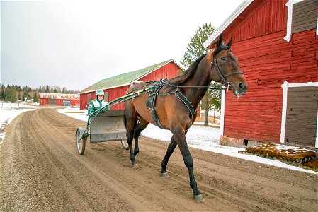 Ravitalli Tapio Mäki-Tulokas, Forssa