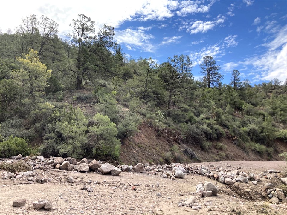Sediment deposition