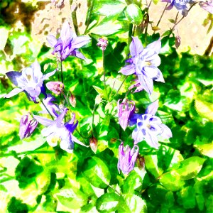 floral_DAP_Aqua-Real