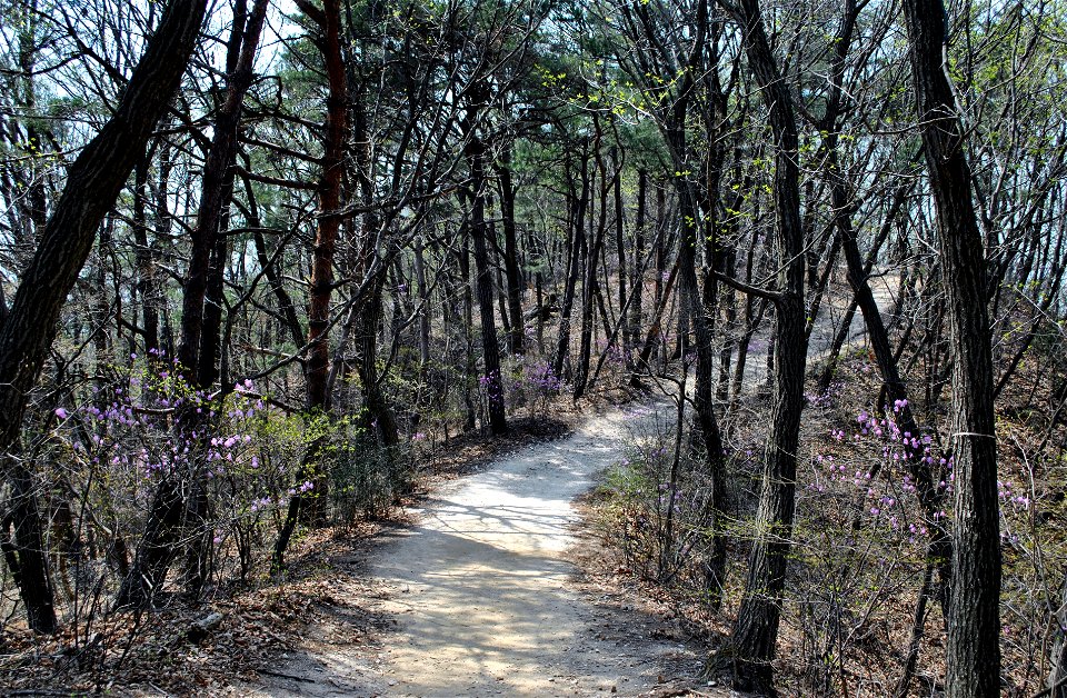 Taejosan Mountain