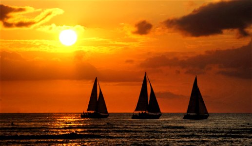 Sails in the sunset. photo