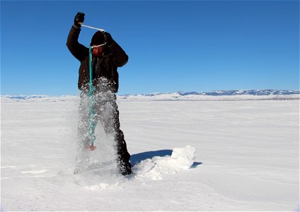 Arctic Grayling Winter Work