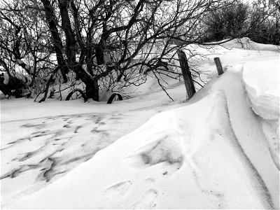 Drifts in the North East Corner