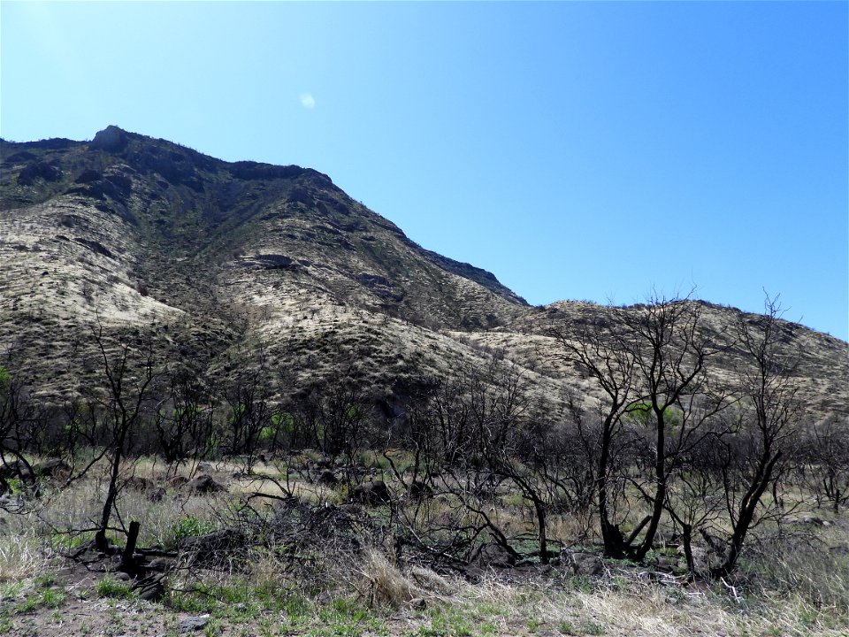 Fossil Creek Soil Monitoring photo