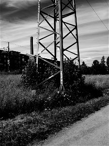 Old Pylon photo