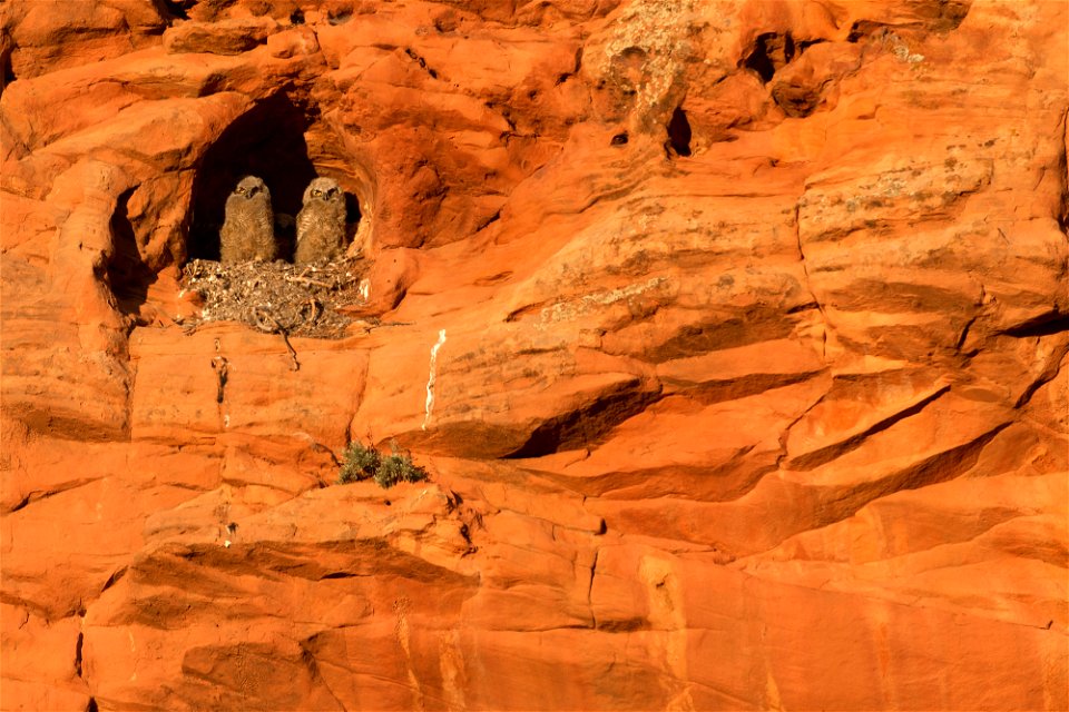 Grand Staircase-Escalante National Monument - 25th Anniversary
