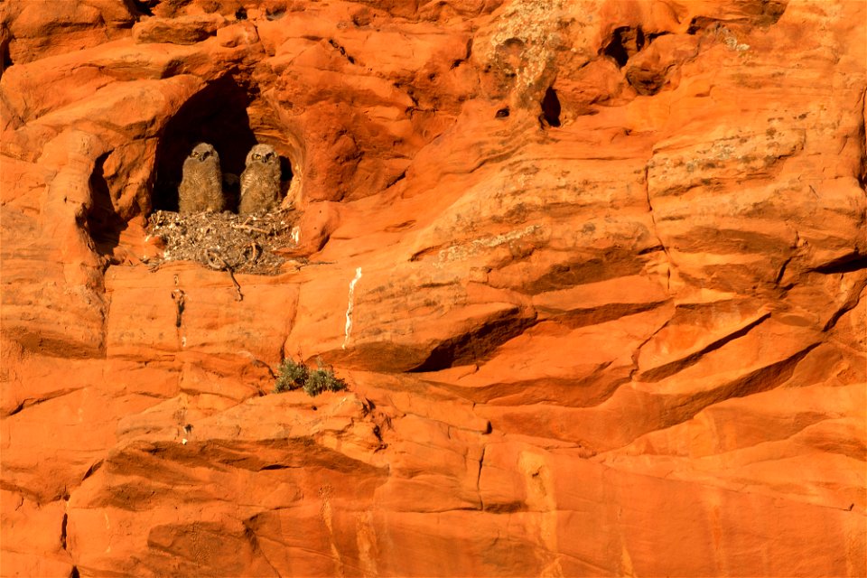 Grand Staircase-Escalante National Monument - 25th Anniversary photo