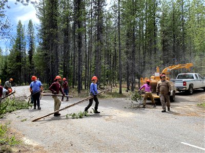 Removing Hazard Trees in Preparation for Use of Campgrounds  on the Umpqua National Forest, Oregon