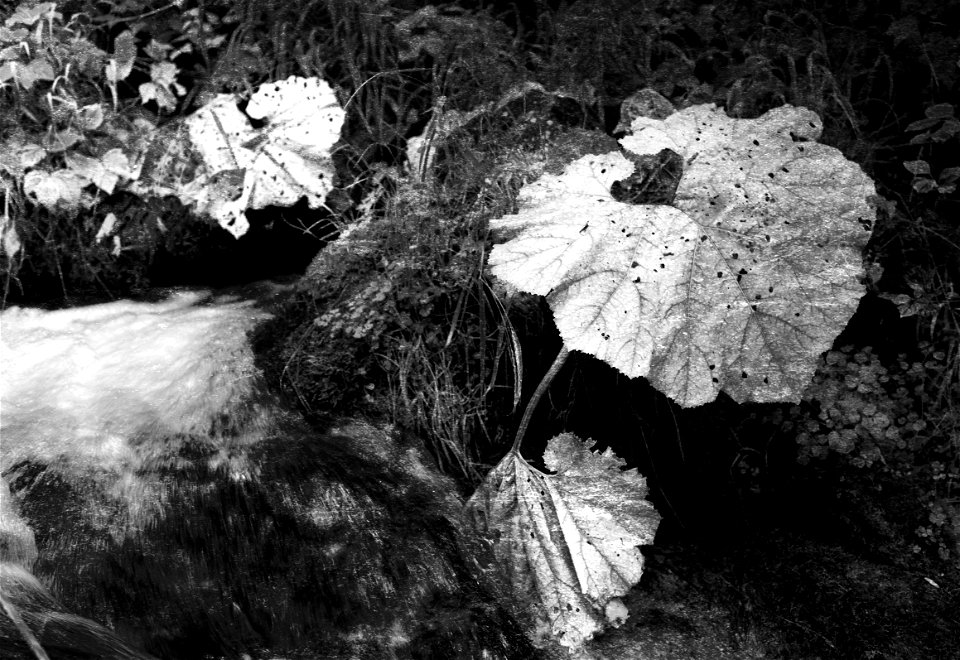 Textured, monochrome