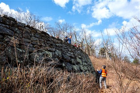 Show Your Love for Shenandoah