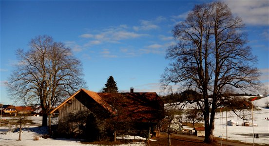 DSC09191