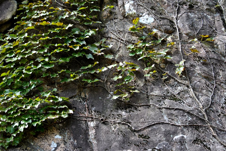 Daedunsan Mountain