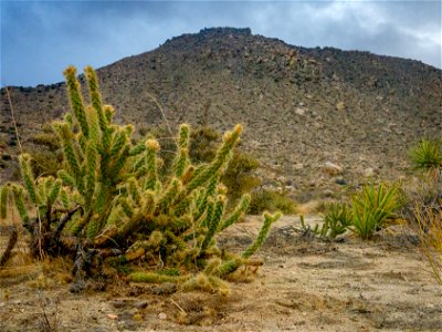 Yuha Desert photo