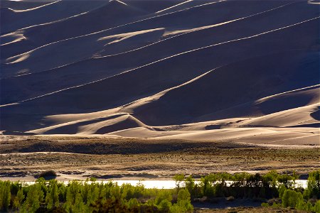 Dune Ridges above Medano Creek photo