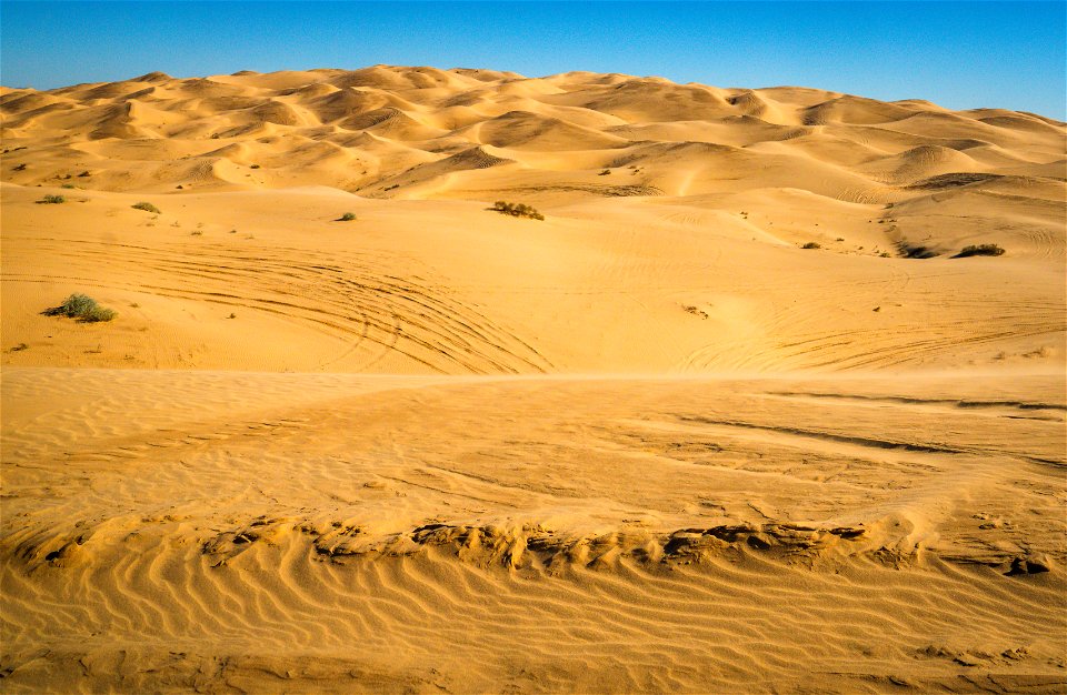 Imperial Sand Dunes