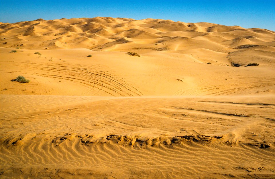 Imperial Sand Dunes photo