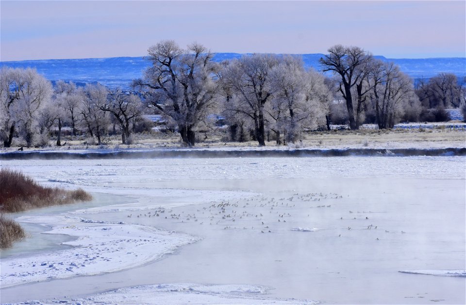 A frosty Green River at Seedskadee National Wildlife Refuge