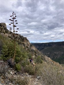 A.B. Young Trail photo