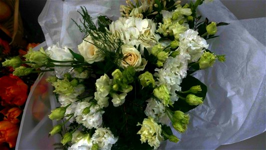 flori_flowers-wife-2023_0227_202000