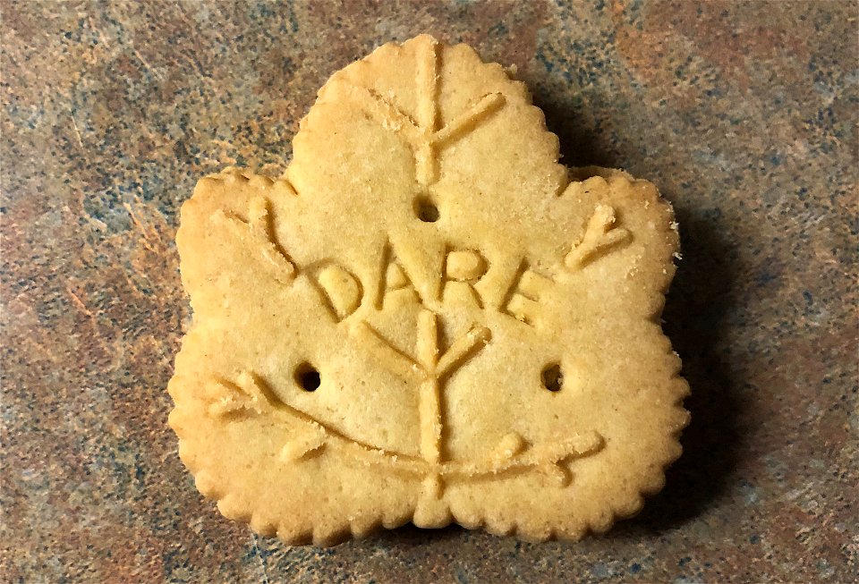 I Dare You to Mock My Maple Cookies