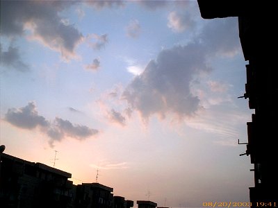 apus-caleavitan2003_0821_1043521_16713432913_o