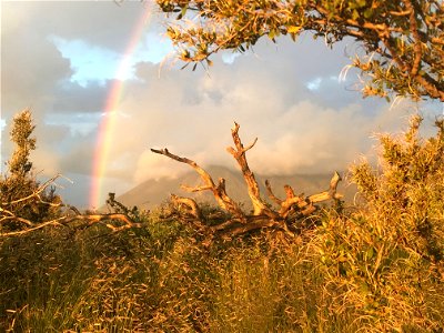 Old Caves Crater Rainbow