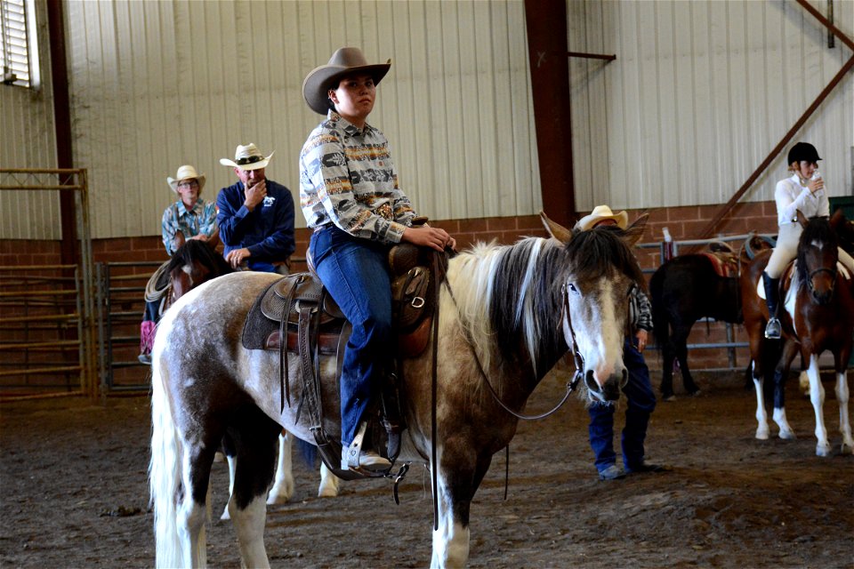 Northern Utah Wild Horse & Burro Festival - 2022 photo