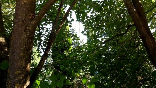 manast_Secu2015_0809_081612