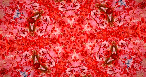 Kaleidoscope211210155003