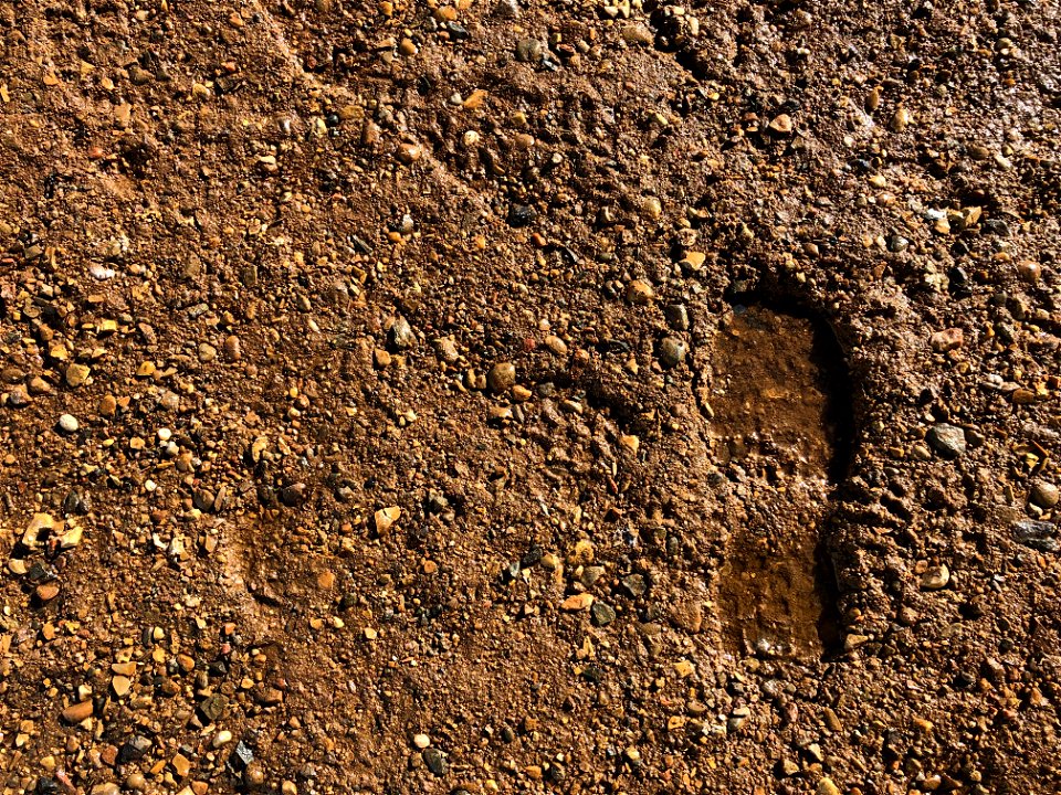 Friday's Footprint