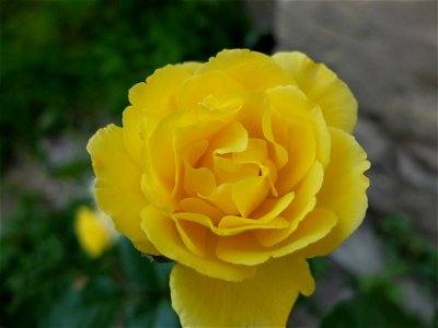 manast_Secu2015_0809_080917