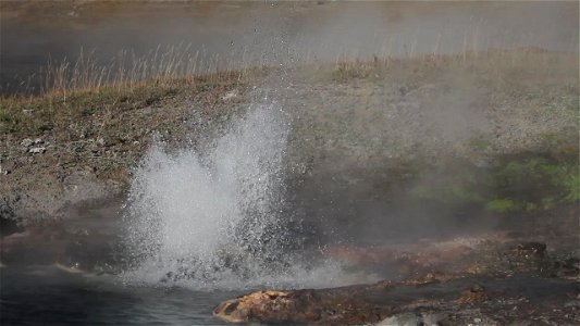 Young Hopeful Geyser