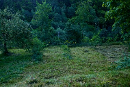 Sambata_monastery_mo2018_0826_084826(1)