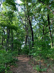 Maesawa Forest Square in Higashikurume-shi