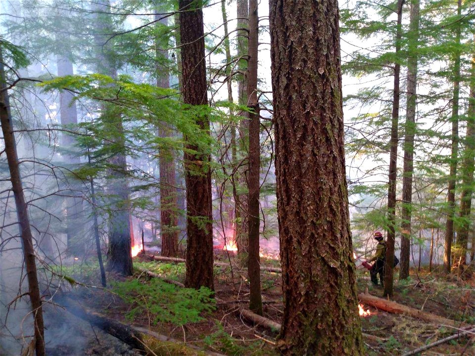 20220921-GP-Burn operation at Goat Rocks Fire- by Zach Morris.