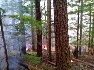 20220921-GP-Burn operation at Goat Rocks Fire- by Zach Morris.
