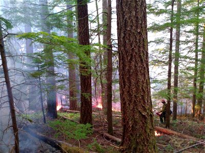 20220921-GP-Burn operation at Goat Rocks Fire- by Zach Morris. photo