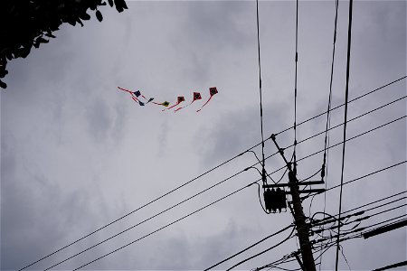 Dangerous kite (tako) photo