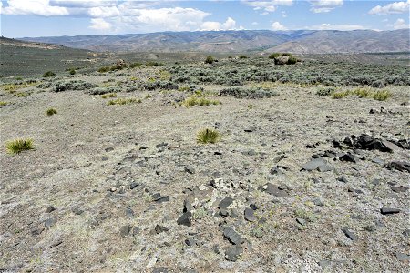 Near South Beaver Creek