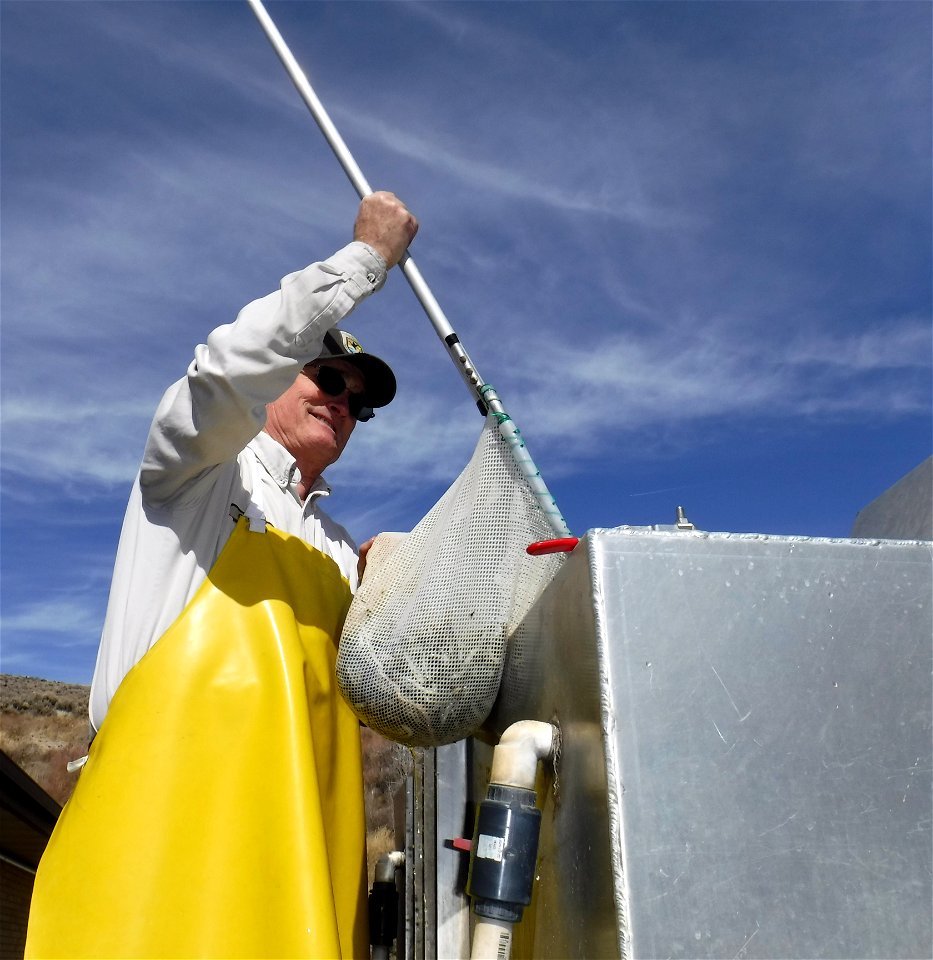 Loading Fish photo