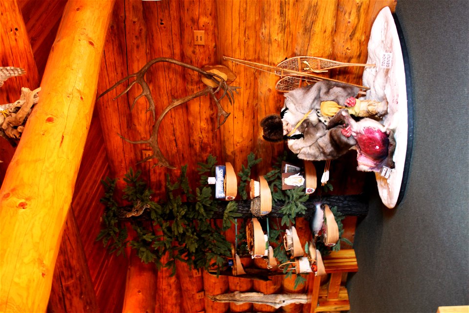 Athabascan Food Culture Tree and lifestyle.
