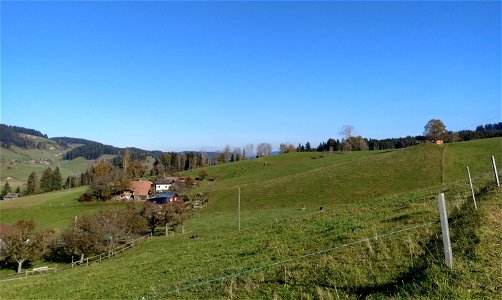 IMG_20211106_143757_1