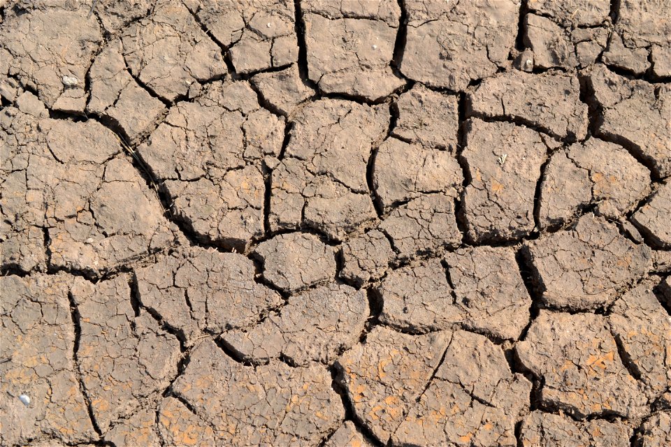 Free textures with cracks
