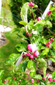 IMG_20210522_164654