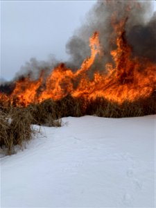 2021 USFWS Fire Employee Photo Contest Category: Fuels Management