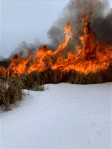 2021 USFWS Fire Employee Photo Contest Category: Fuels Management photo