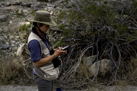 Researcher hiking in the Pinto Mountain area