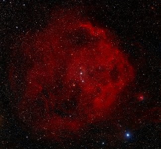 Bellatrix, Meissa (Lamda Orionis) + Sh2-264 photo