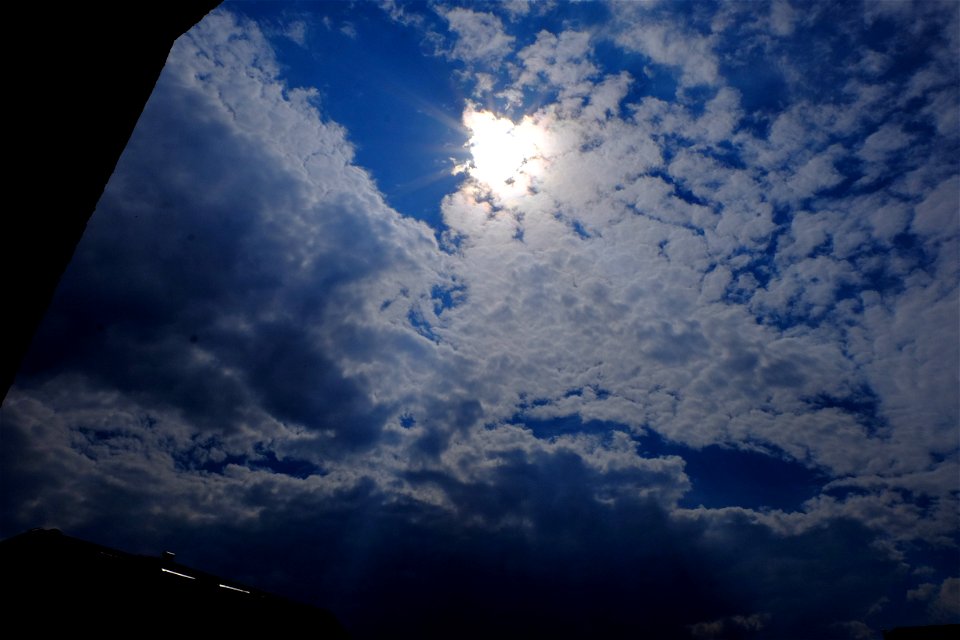 nori-sediu2015_0630_155410